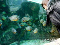 비옥한 산, 들, 바다 입맛이 춤추는 풍요의 고장 서천여행