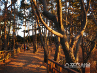 비옥한 산, 들, 바다 입맛이 춤추는 풍요의 고장 서천여행