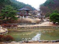 새봄 꽃과 함께 피어나는 정신, 안동 여행