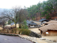 새봄 꽃과 함께 피어나는 정신, 안동 여행