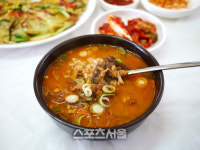 새봄 꽃과 함께 피어나는 정신, 안동 여행
