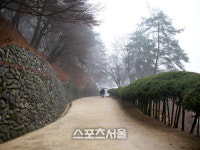 새봄 꽃과 함께 피어나는 정신, 안동 여행