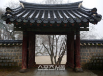 새봄 꽃과 함께 피어나는 정신, 안동 여행