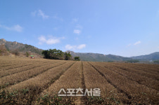 다산 품어준 강진, 그 넉넉한 품으로…