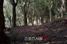 다산 품어준 강진, 그 넉넉한 품으로…