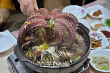 [핵ZONE맛집] 먹다가 지쳤어요, 땡벌 남도 땅 강진의 맛