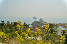 부산 해안길 절경에 반하고 아홉산숲 비경에 취하다