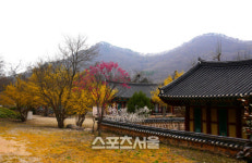 미쉐린 3스타 여행지, 전북 고창으로 떠난 봄날여행