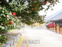 미쉐린 3스타 여행지, 전북 고창으로 떠난 봄날여행