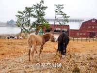 미쉐린 3스타 여행지, 전북 고창으로 떠난 봄날여행