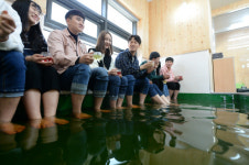 봄 여행주간, 신록의 숲이 부른다. 오감체험코스 충북 휴양림