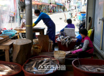 누가 춘래불사춘이래? 꽃 바다에 마음마저 피어오르는 태안의 봄