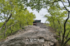 눈이 부시게 푸르른 날은 담양 초록 힐링여행