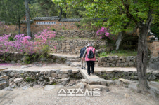 눈이 부시게 푸르른 날은 담양 초록 힐링여행