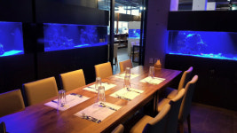 바닷속 세상 아쿠아리움 레스토랑 테마리움 화제