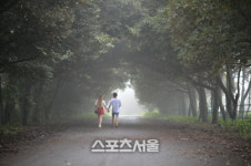 비 내려도 좋다 꿈속을 거닌 듯 몽환적 풍경의 여름 제주 여행