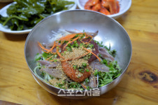 [핵ZONE맛집] 이렇게 덥다니, 물회하다! 여름엔 물회, 전국 물회맛집