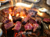 더위도 이정도면 재난 수준 강원도 평창 횡성으로 떠난 무더위 피란길