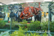 [르포]커피타는 로봇부터 말동무 로봇까지 한자리에…로봇 유통 첫삽 뜬 용산전자랜드 가보니