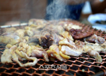 살랑살랑 코스모스를 딛고 가을님이 오시는 길, 광양 가을여행