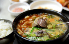[한가위 특집] 귀성귀경길, 놓치면 섭섭할 지역 먹거리 총집합