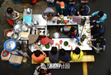 문화, 영양 결핍자 모두 나와 대구로 가을 여행가자