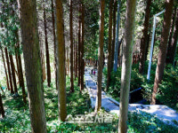 멋진 코트 속 몸짱이 숨어있었네 삼색삼미 창원 가을여행