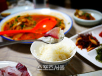 멋진 코트 속 몸짱이 숨어있었네 삼색삼미 창원 가을여행