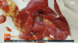 키즈카페에서 구더기 토마토케첩 먹은 여성 스트레스로 유산
