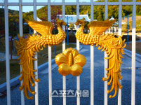 화려한 듯 은은한 듯 떠나는 가을 합천의 마지막 뒷모습