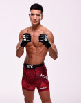 미스터 퍼펙트 강경호, 내년 2월 호주 UFC 234에서 이시하라 테루토 상대로 경기