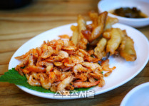 예산 없다면 어찌 행복할수 있을까 충남 예산으로 떠난 새봄 여행