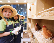 알많이 키자니아 풀무원과 함께 동물복지 달걀 농장 오픈