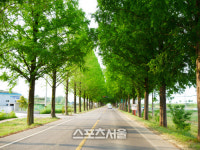 아듀 올 봄과의 이별을 기억하다, 곡성 진도 남도 막걸리 여행