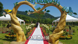 함평군, 자연생태공원 야외예식장 개장 첫 예식 ‘성공적’