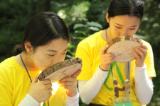 G마켓X유한킴벌리, ‘2019 우푸푸 그린캠프’ 참가자 모집