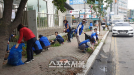 의정부시바르게살기위원회, 평화로 일대 환경정비