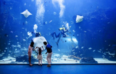 아쿠아플라넷 일산, 일산 동부서 사회적 약자 무료 관람 3년째 지원