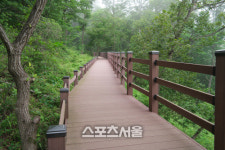 보성군, 제암산자연휴양림 더늠길 8월 걷기 좋은길 선정