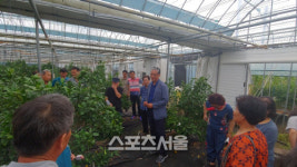 장성군, 맞춤형 컨설팅으로 ‘컬러과일’ 생산 박차