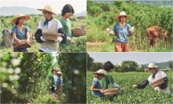 일로 만난 사이 유재석X이상순 호칭 상순씨 에서 상순아로 바뀌어