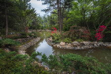 숲과 물, 공기. 건강을 선물합니다 제주 WE호텔이 투숙객에게 가을 선물을 선사한다.