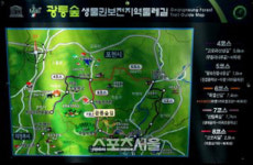 광릉숲 생물권보전 관리위 가구단지 입지 재검토 남양주시에 권고