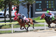 렛츠런파크 제주 강대은 조교사, 데뷔 17년만에 700승 달성