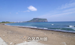 탐스러운 가을 제주, 그안에서 먹고 놀고 쉬고