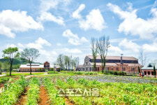 [스마트컴퍼니] 친환경 6차 산업의 산실, 매일유업 상하농원