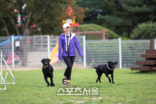 경기관광공사, 가을 정취 만끽 나들이 휴식 명소 추천