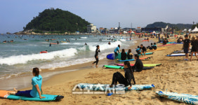 말이 돼? 양양서핑도 안해보고! 강원 양양 38휴게소 인근 도로위 홍보간판 인기