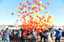 청송군, 제15회 청송사과 축제 개최