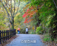 가을이 오가는 그 비단길, 충북 괴산 여행